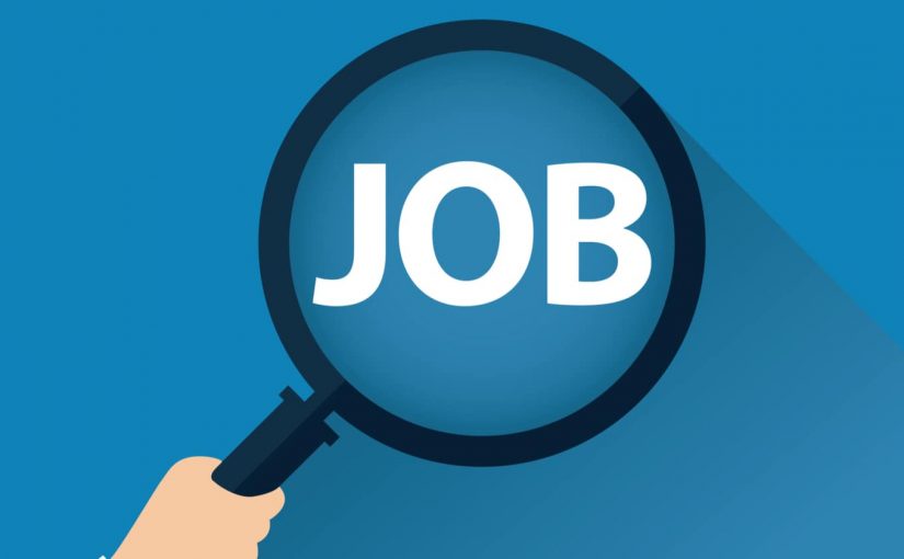 10+ Job Cover Letters